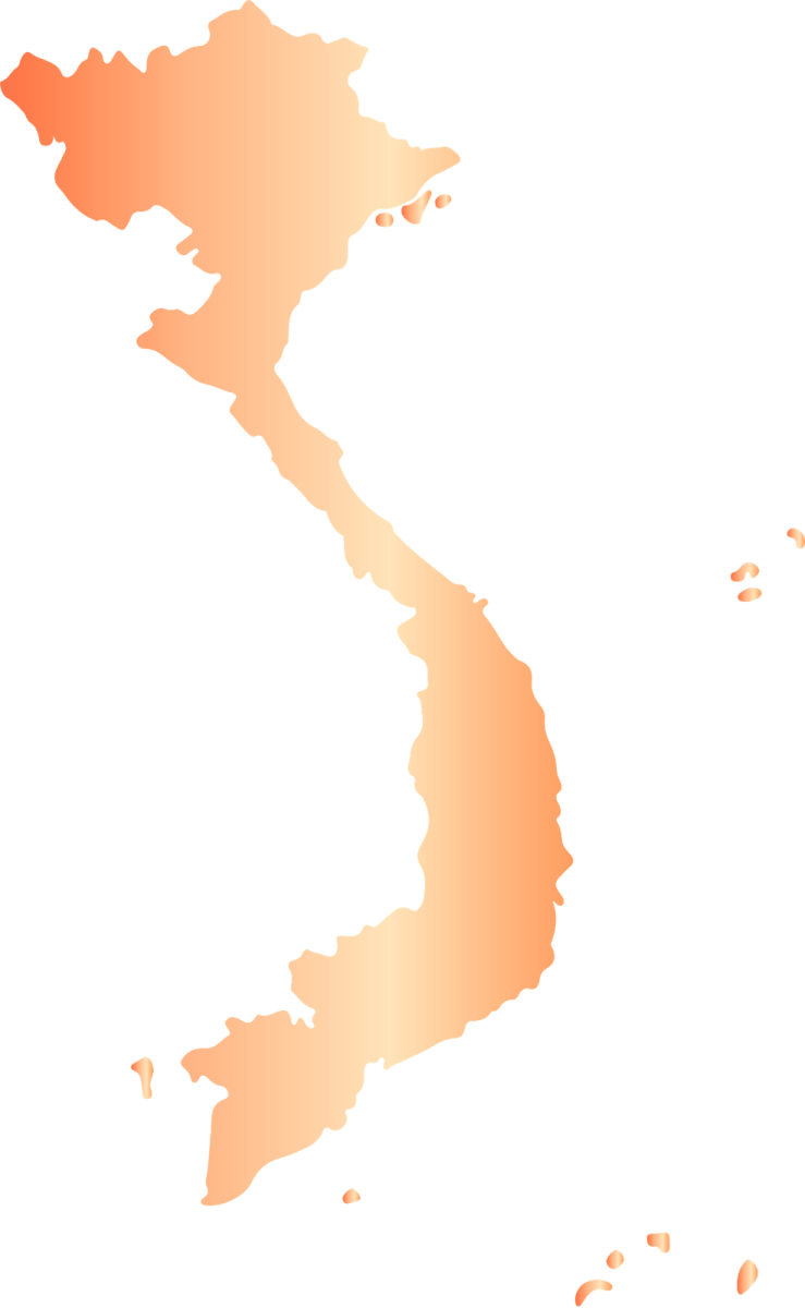 Vietnam overview